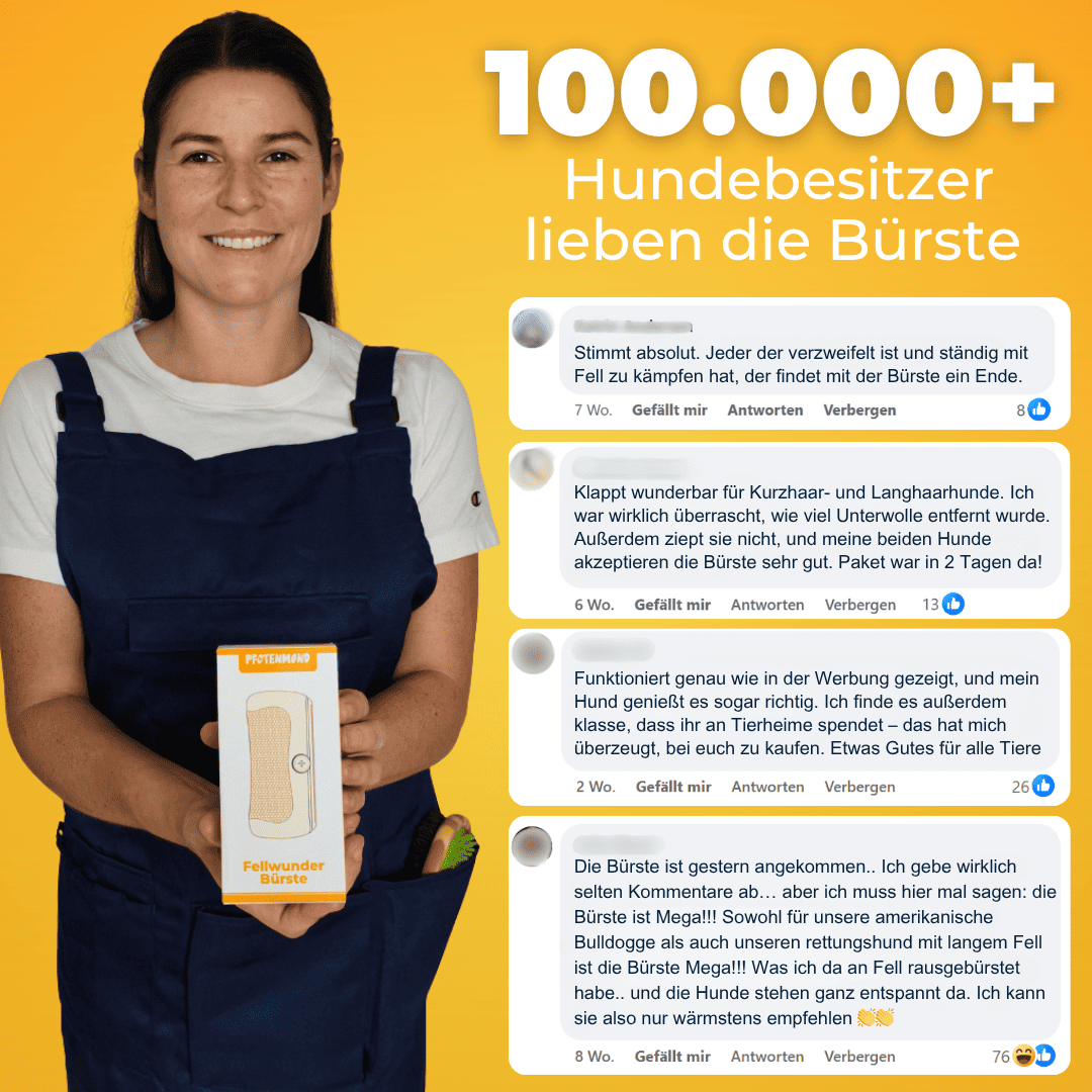 Fellwunder Bürste - Der Bestseller