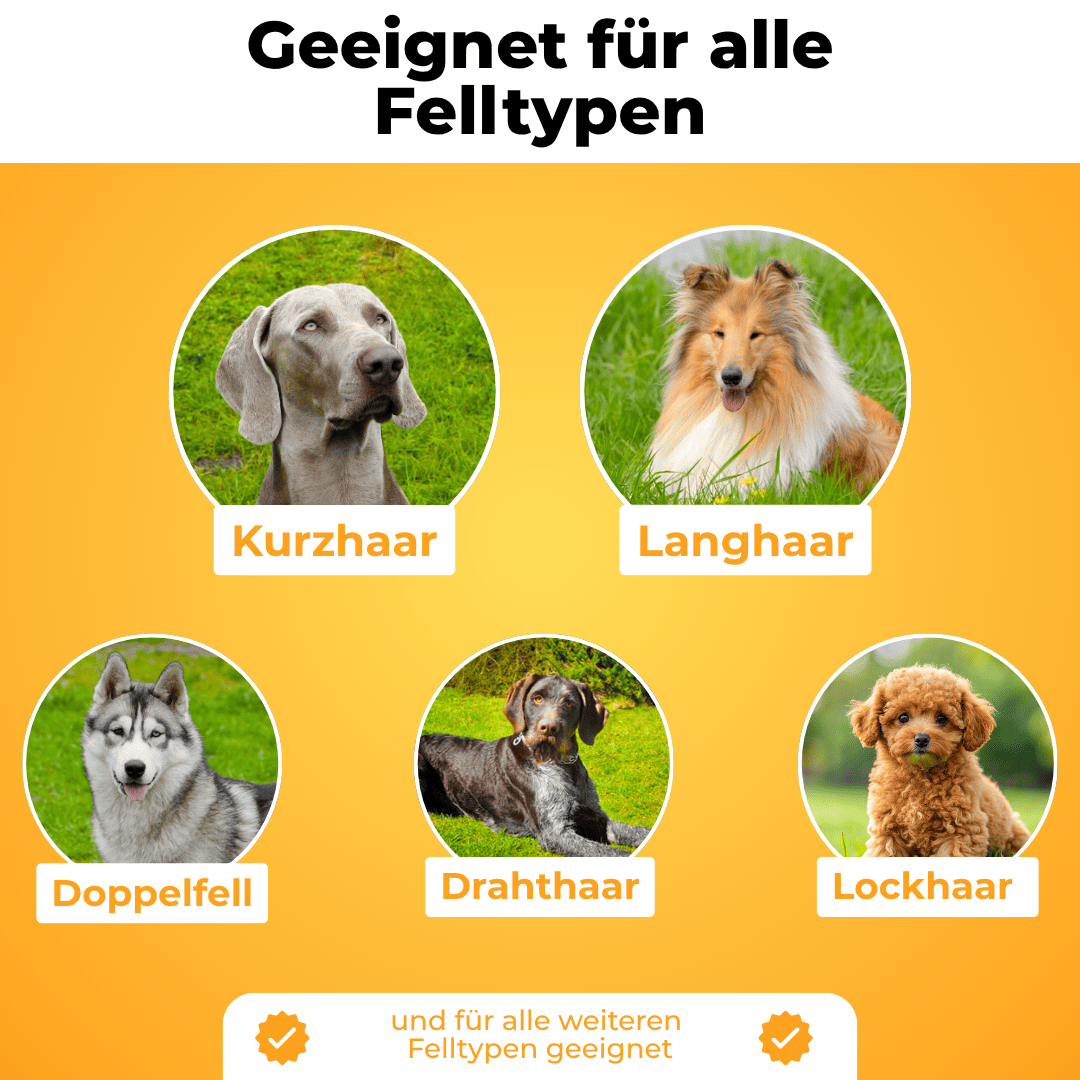 Fellwunder Bürste - Der Bestseller