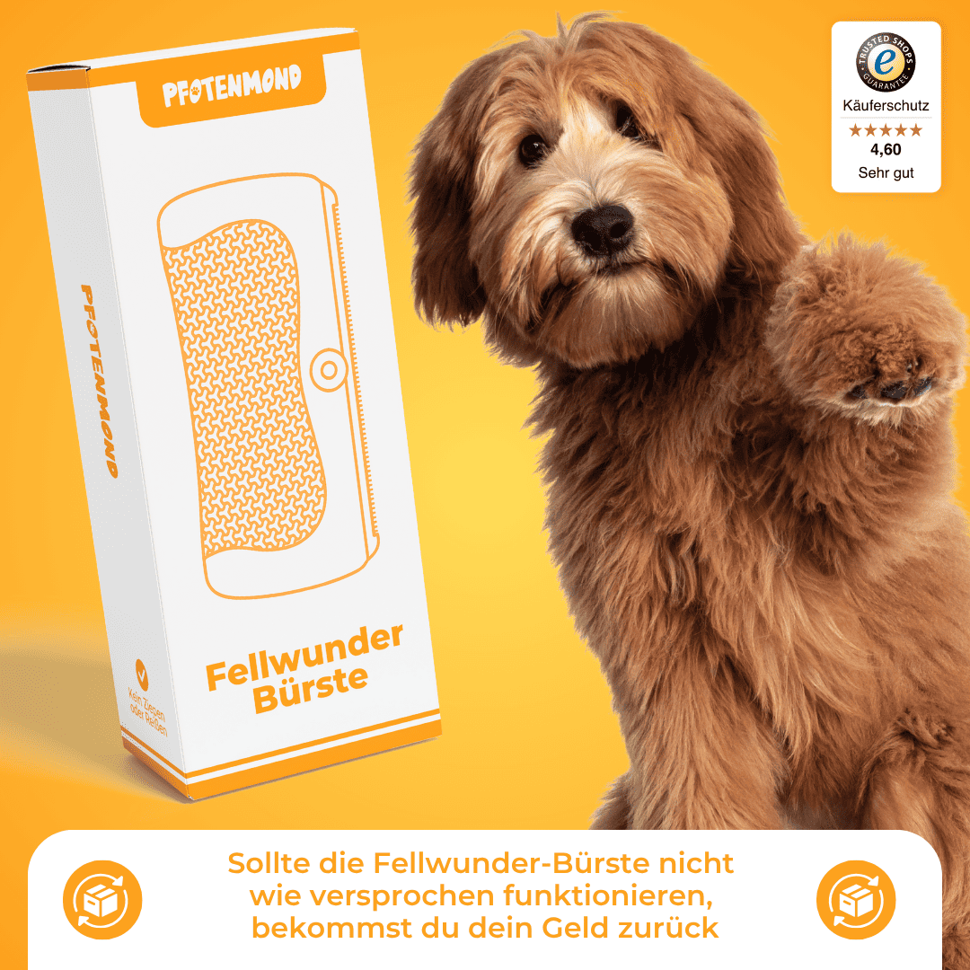 Fellwunder Bürste - Der Bestseller