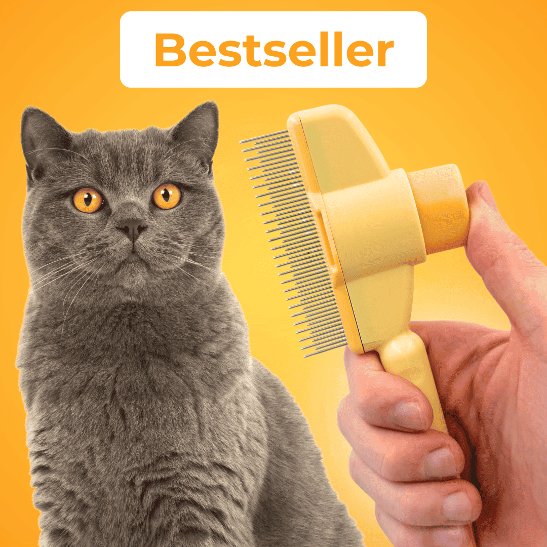 Fellblitz-Bürste - Der Bestseller