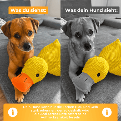 Anti-Stress-Ente - Der Bestseller