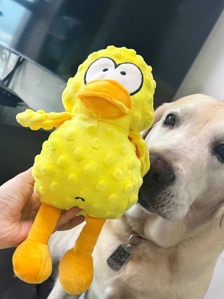Calming Duck Toy by Wowpetsmart®