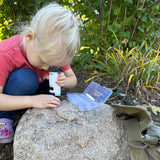 Mini Explorer Microscope