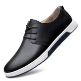 Premium Oxfords