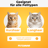 Fellblitz-Bürste - Der Bestseller